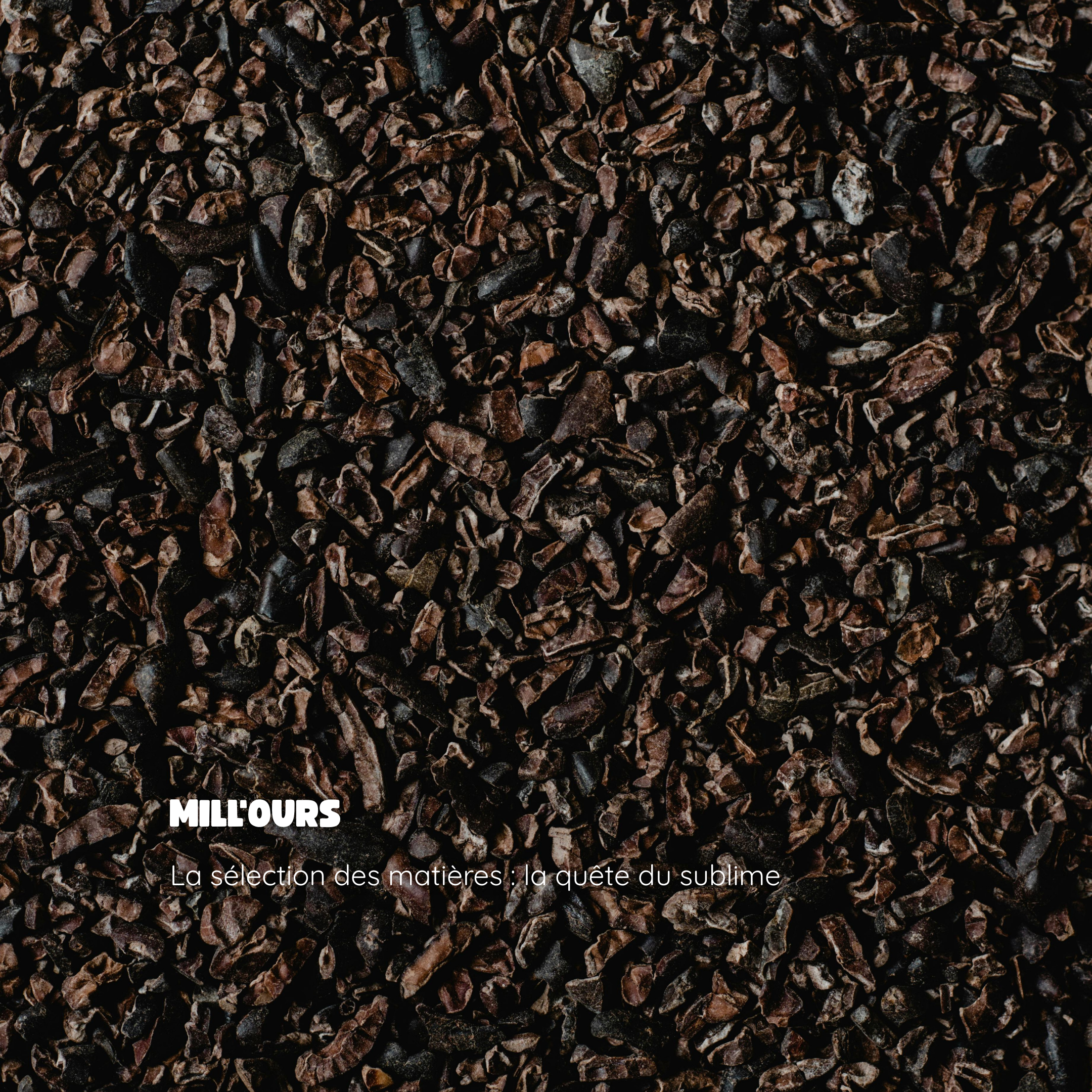 Comment nous fabriquons nos oursons Mill’Ours : les secrets d’un chocolat artisanal d’exception